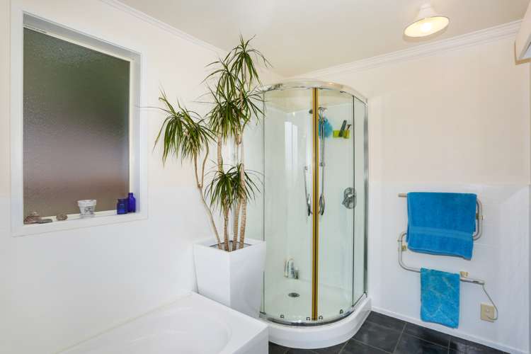 45 Brewster Road Pukekawa_13