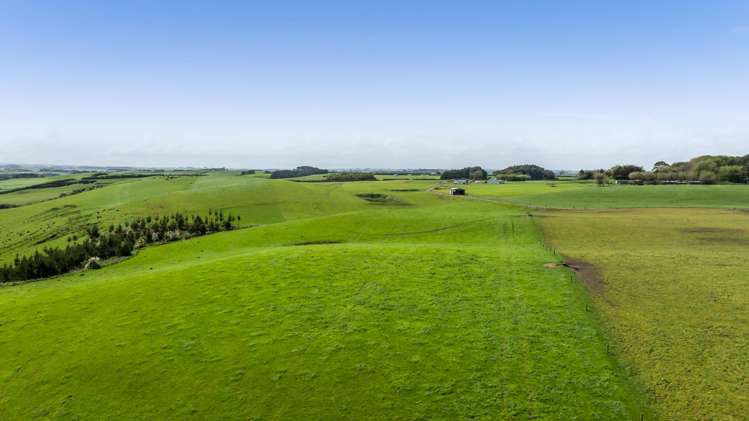 103 Wirihana Road Hawera_6