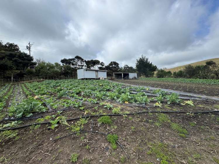 1755 South Head Road South Head_12