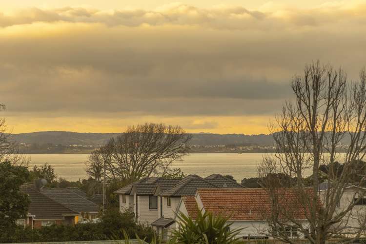 201/1a Oakley Avenue Waterview_5