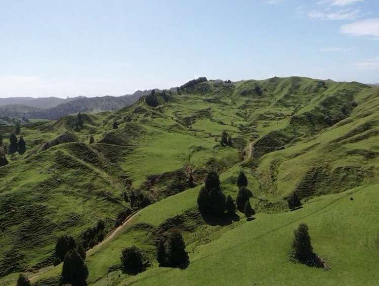 167 Whenuakura Road Waimiha-Ongarue_16