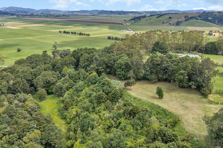 Lots 3, 4 & 5 Don Meara Lane Kauri_22