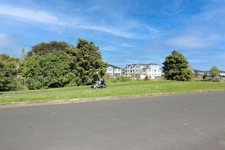 129 Baverstock Road Flat Bush_5