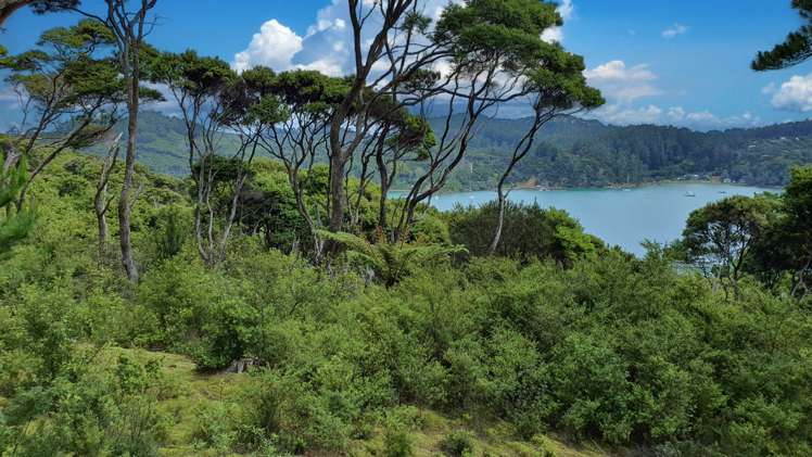 Lot 105 Hideaway Cove Kawau Island_11