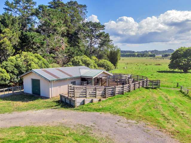 470 Te Arai Point Road Te Arai_4