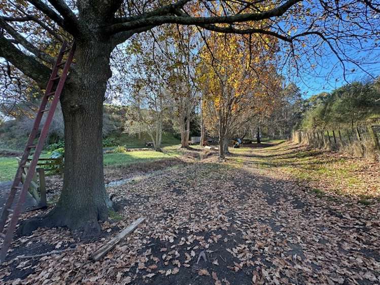 20 Ballantyne Road Poraiti_20