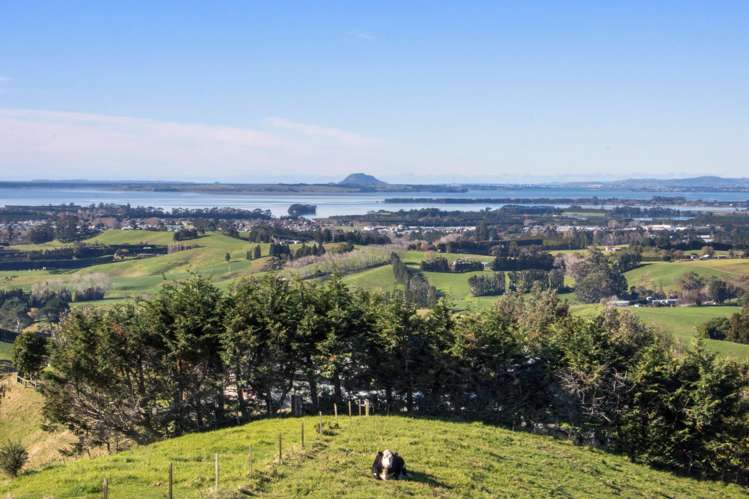 345A Lindemann Road Katikati_4