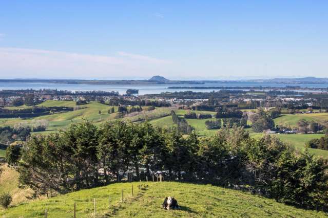 345A Lindemann Road Katikati_4