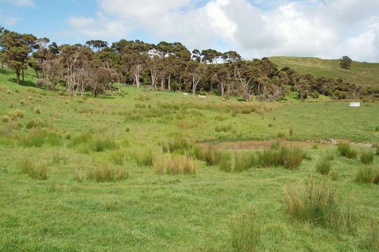 173 Rangiora Road Kaiwaka_14