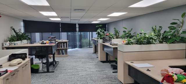 9D Airborne Road Albany_3