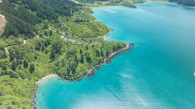 236 Tumbledown Bay Road Port Underwood_1