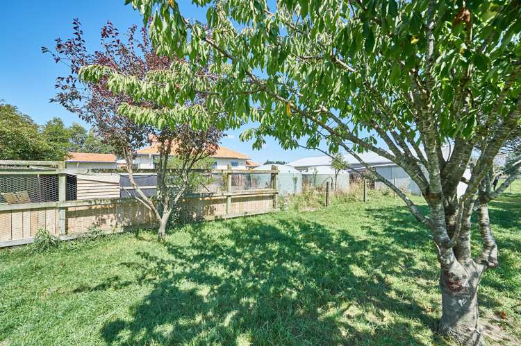 814 Roberts Line Bunnythorpe_6