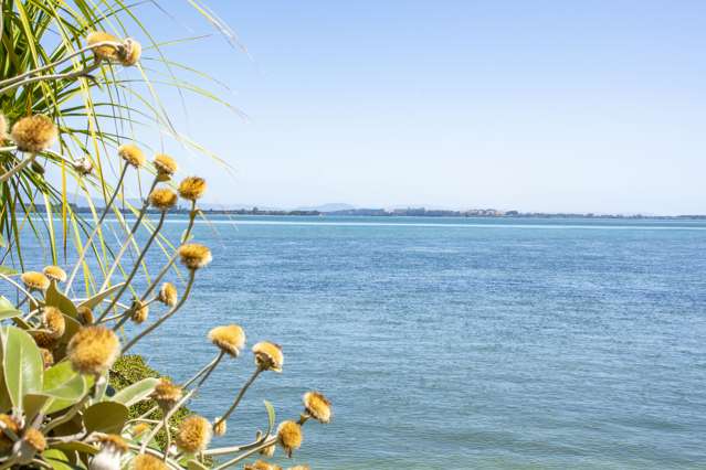 14 Strange Grove Matua_1