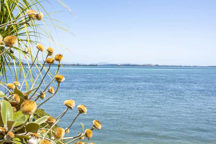 14 Strange Grove Matua_1