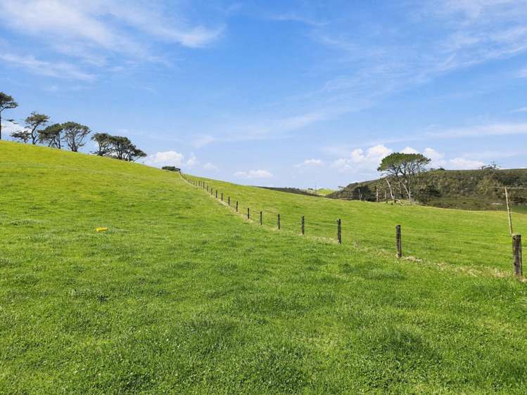 Mount Wesley Coast Road Dargaville_11