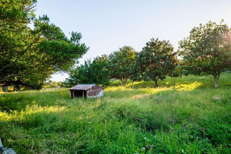 29A Howden Road Whatawhata_31