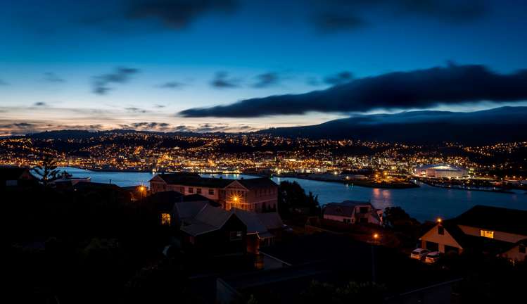 217 Larnach Road Waverley_24