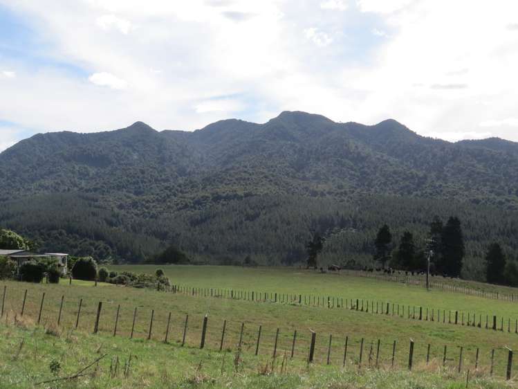 471 Sainsbury Road Pirongia_16