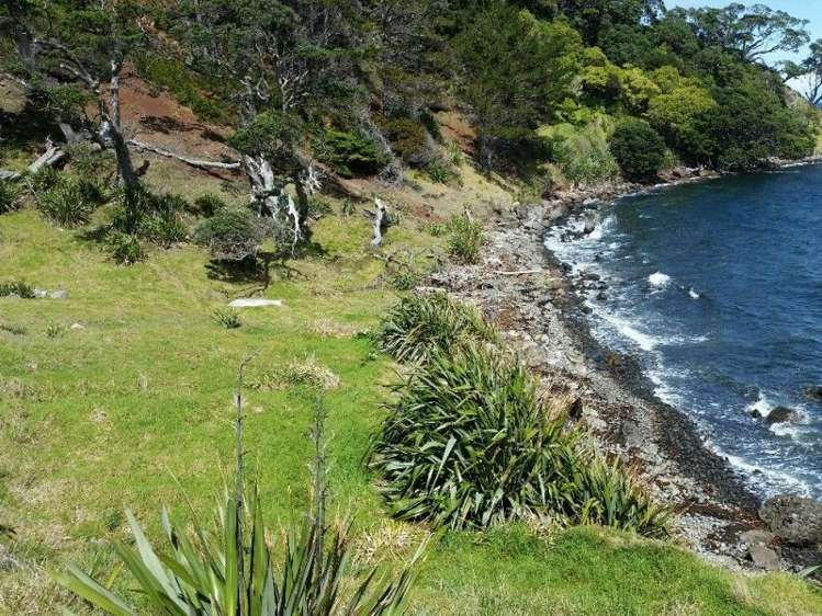 411 Schooner Bay Road Great Barrier Island (Aotea Island)_10
