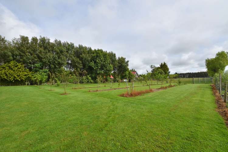 533 Flora East Makarewa_19