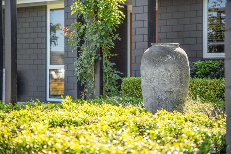 3 Solomon Place Witherlea_37