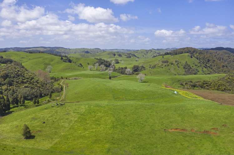 2140 State Highway 4 Aria_19