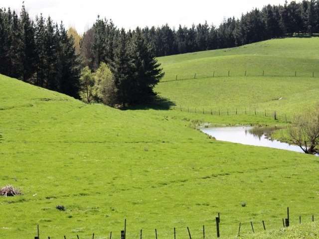 35 Pourerere Road Waipawa_3