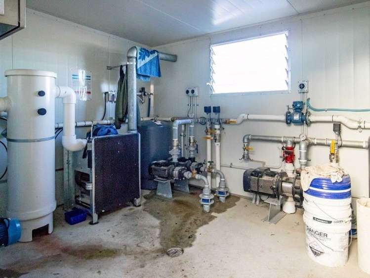 103 Mclachlans Road Rakaia_7