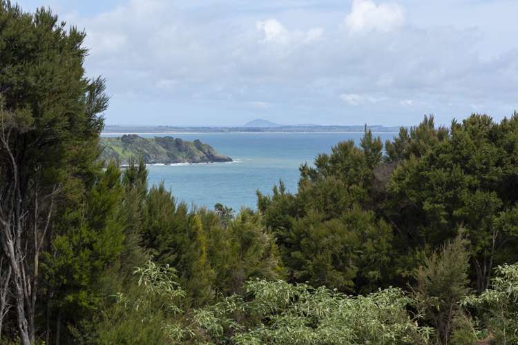 119 Stratford Drive Cable Bay_9