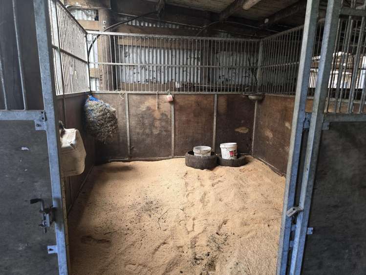 103 East Road Stratford_17