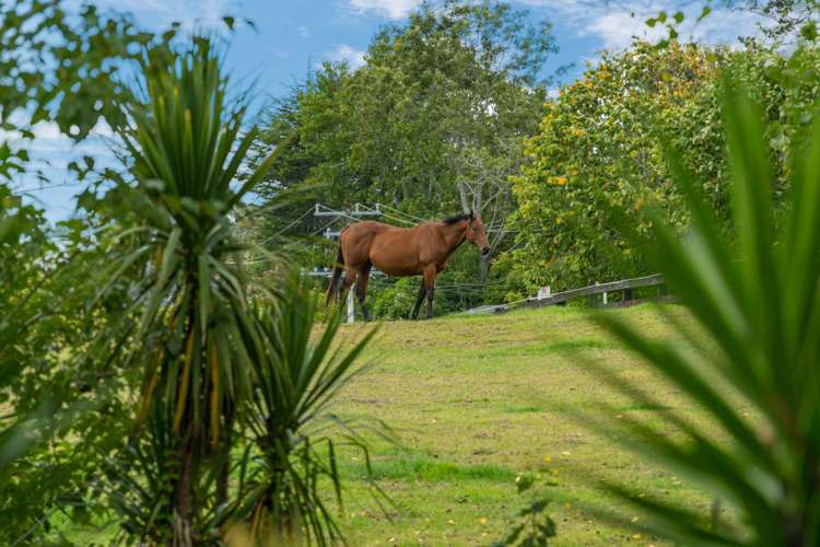 4 Churchouse Road Greenhithe_15