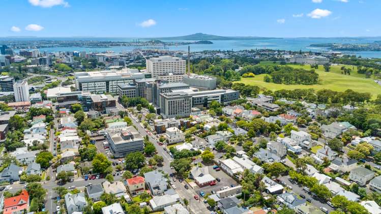 25a Carlton Gore Road Grafton_8