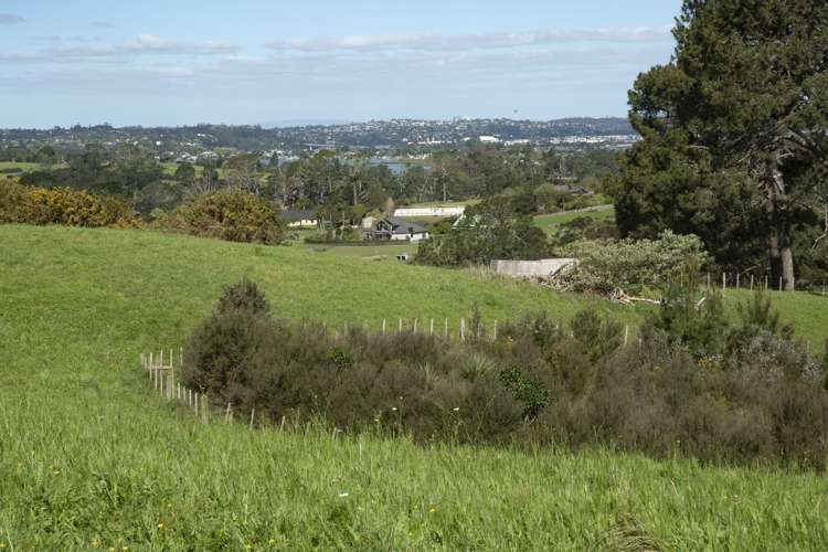 31 Diamond Lane Riverhead_11