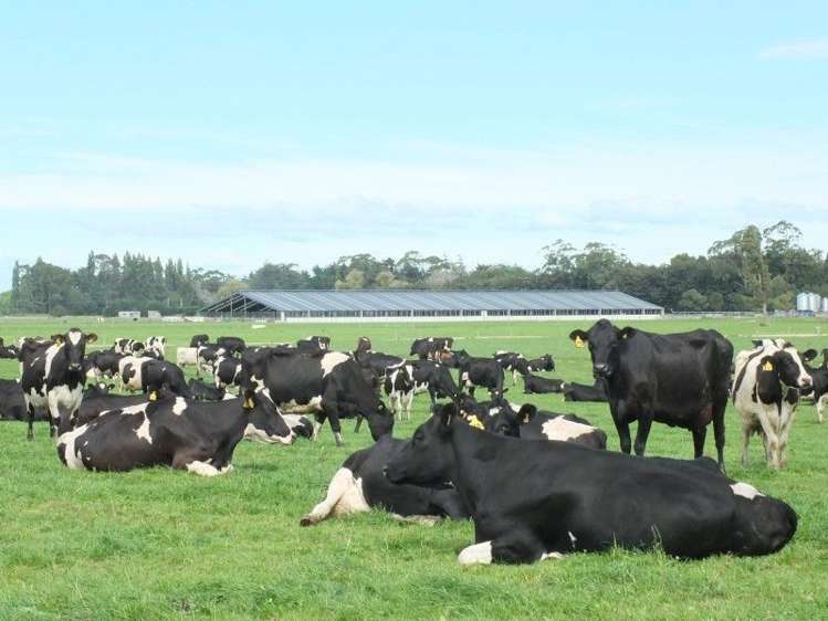 3 Limehills Browns Road Winton Surrounds_22