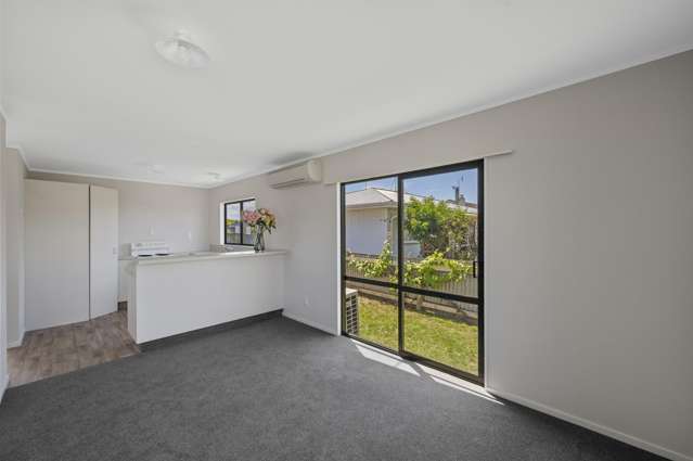 179A Guppy Road Taradale_3