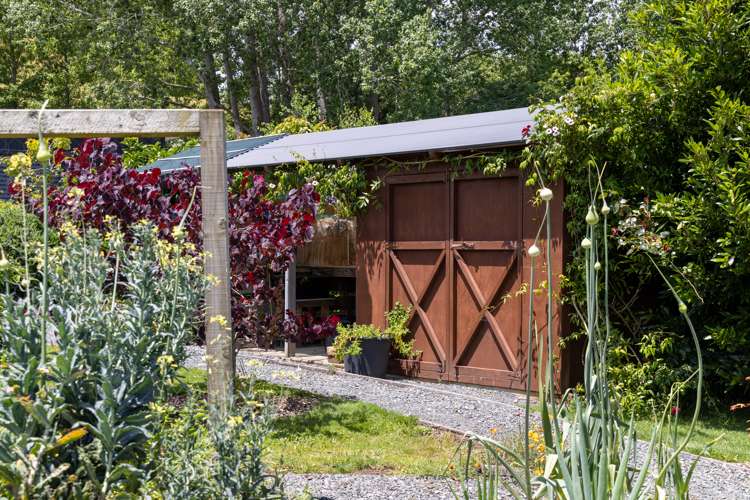 497a Whitmore Road Tawharanui Peninsula_26