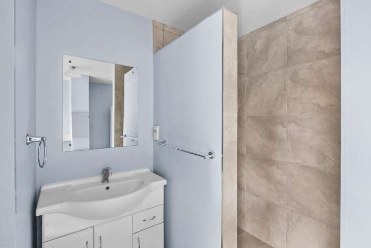 102 Freyberg Avenue Tamatea_13