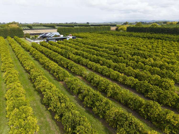 18 Jackson Road Waerengaahika_25