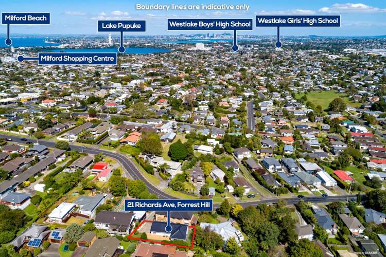 21 Richards Avenue Forrest Hill_20