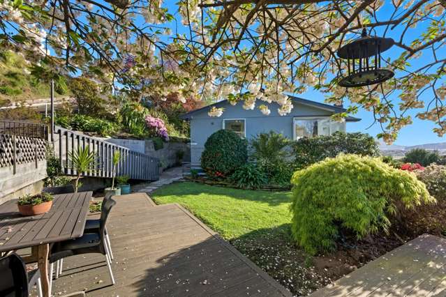 112 Forbury Road Saint Clair_1