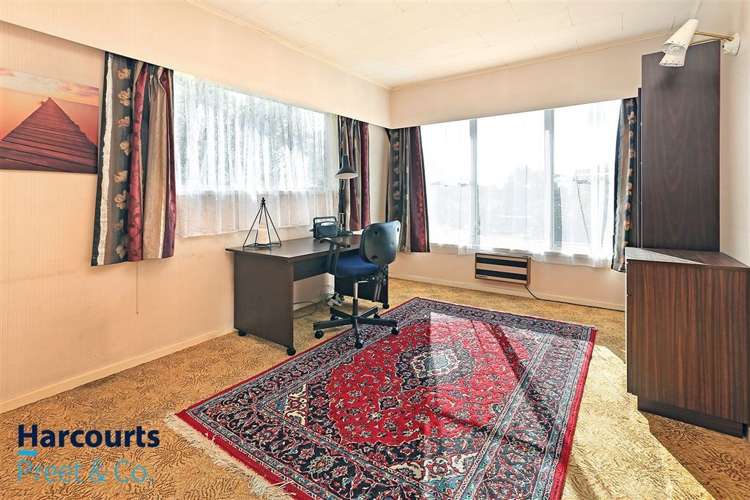 11 Kahurangi Place Hillpark_4