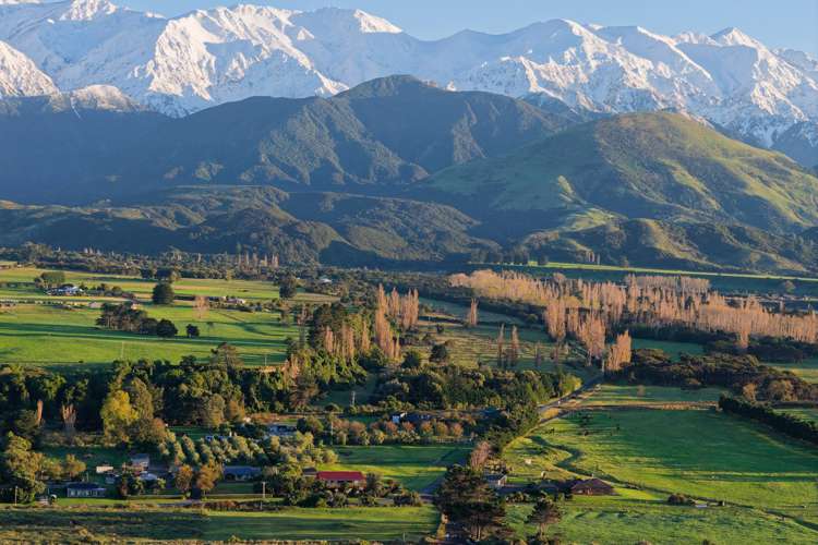 211 Lovers Lane Kaikoura_10