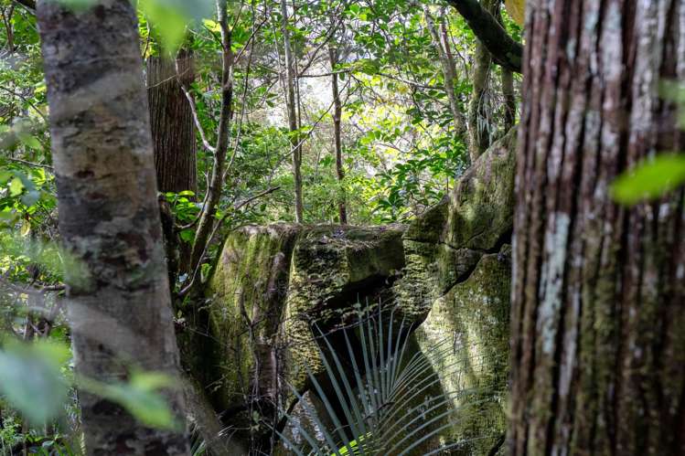 728 Ormiston Road Waipu_35