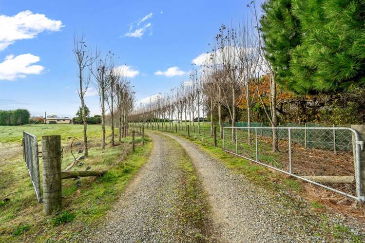 1437 Winton Lorneville Highway Ryal Bush_14