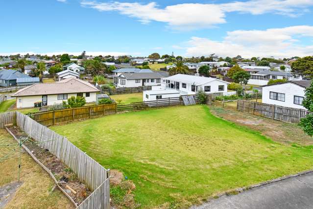 193 Finlayson Avenue Clendon Park_1