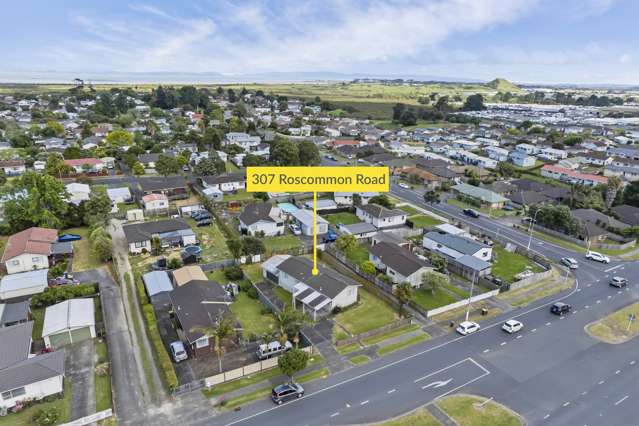 307 Roscommon Road Clendon Park_3