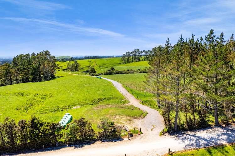 1627 Mangorei Road Korito_13