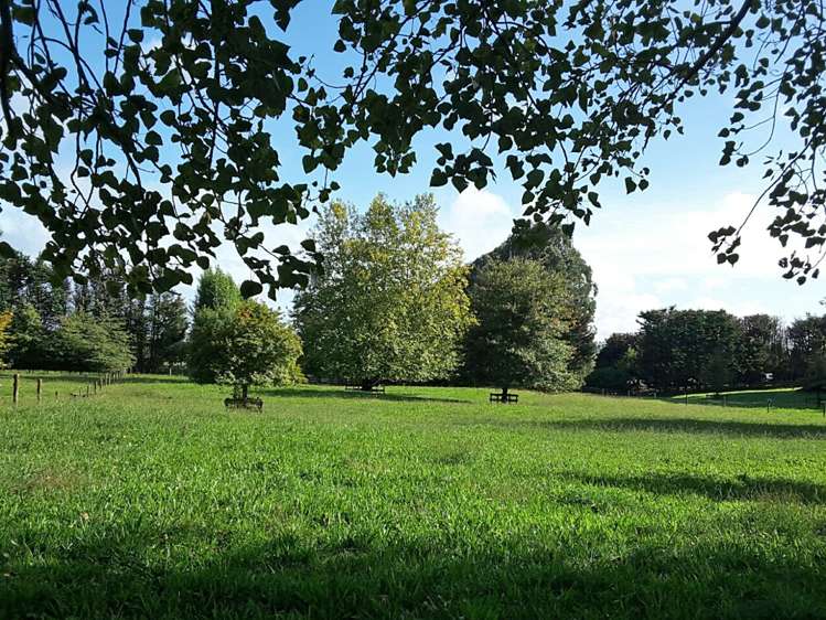 432 Batty Road Karaka_3