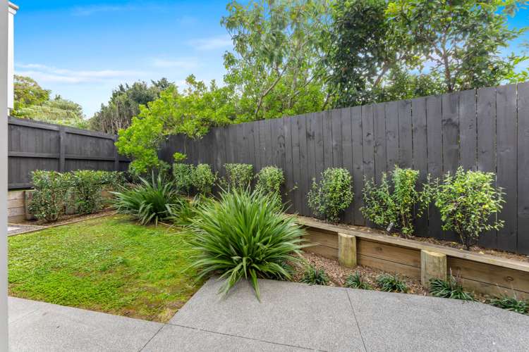 1 Ara Reti Mangere Bridge_16