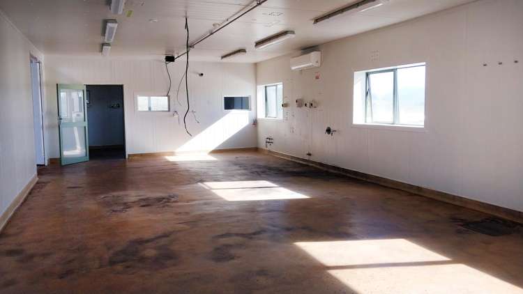 131 Richards Road Te Kowhai_5